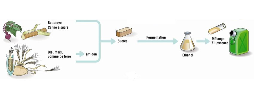 schème-ethanol